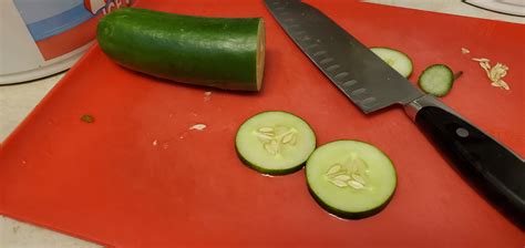 eating cucumbers  harvested  farm