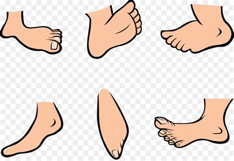Foot Cartoon Royalty Free Clip Art Funny Feet Cliparts