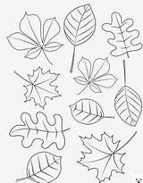 Moldes Plantillas sketch template