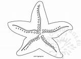 Starfish Coloring Coloringpage Eu sketch template