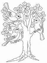 Coloring Pages Spring Coloriage Printemps Arbre Coloringpagesforadult Adults Maternelle Printable Bird sketch template