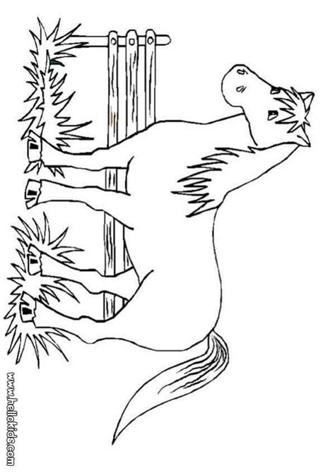 horse coloring pages  kids coloring pages  kids