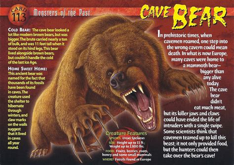 cave bear weird  wild creatures wiki fandom