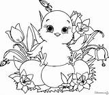Chick Animals Coloring Kb Coloriage Et sketch template