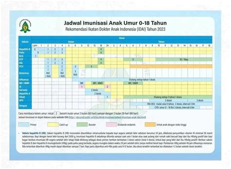 idai rekomendasikan jadwal imunisasi terbaru kanyaid
