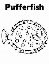 Puffer Coloring Fish Spotted Beautiful Pufferfish Designlooter 776px 26kb sketch template