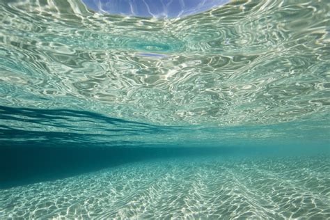 Snorkelling In Crystal Clear Water In Tonga Jones Travel