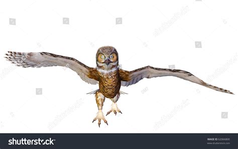 owl running stock photo  shutterstock