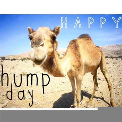 Hump Day Work Free Images At Vector Clip Art