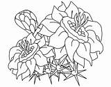 Flower Coloring Pages Printable Kids Print Bestcoloringpagesforkids sketch template
