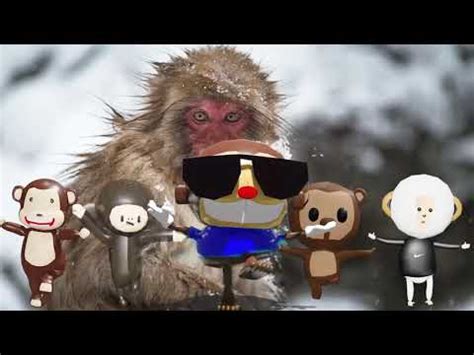 monkey kids youtube