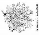 Flower Coloring Stock Outline Professional Vector Doodle sketch template