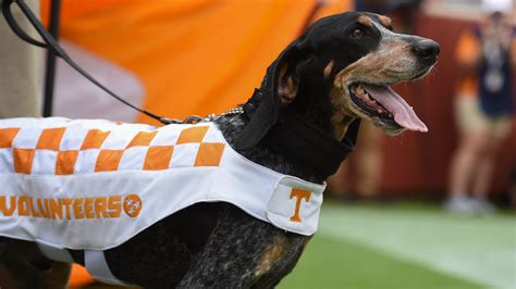 smokey tennessees mascot  picked  years  today