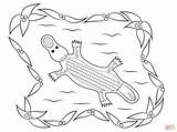 Aboriginal Coloring Platypus sketch template