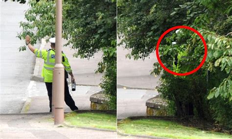 the undercover cops sneaky police officers hide in bushes to catch