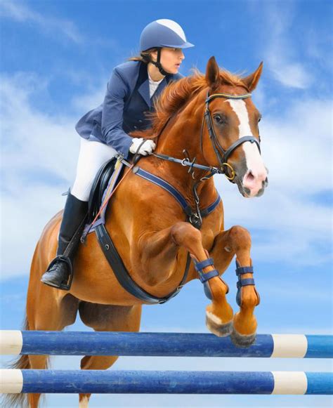 show jumping  picture