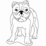 Bulldog Easy Drawings Draw Drawing American Pattern Simple Coloring Dog Sketches Patter Zentangle Getdrawings Sketch Mascot Animal Sketchite Cartoon sketch template