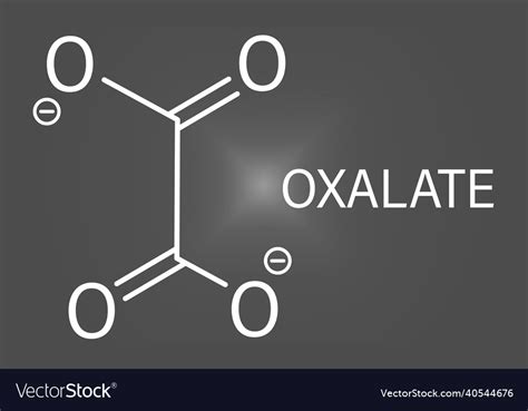 oxalate anion chemical structure skeletal formula vector image