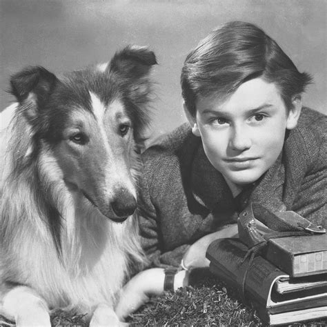 turner classic movies — roddy mcdowall in a publicity photo for lassie