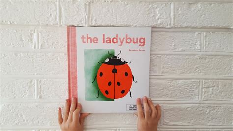 coos ahhs book review  ladybug