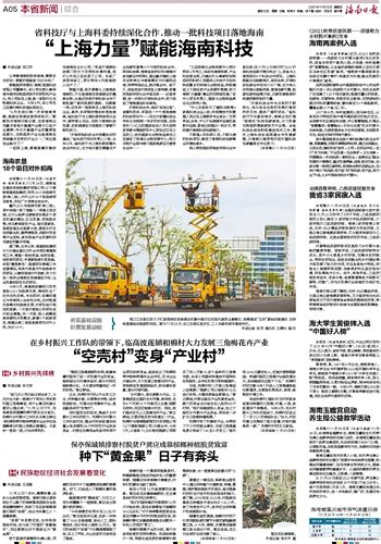 海南日报数字报 “上海力量”赋能海南科技