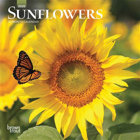 sunflowers mini calendar 2020 at calendar club