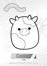 Squishmallows Squish Colouring Connor 8th Grade Kawaii Xcolorings sketch template