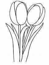 Tulip Coloringfolder Coloringme sketch template