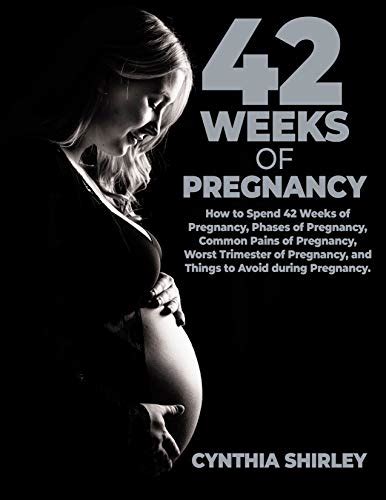 weeks  pregnancy   spend  weeks  pregnancy phases  pregnancy common pains