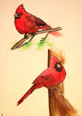 stroke  joy  cardinal sketches
