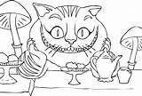 Alice Coloring Cat Meraviglie Paese Cheshire K5worksheets K5 sketch template