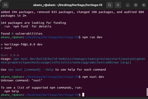 javascript npm run dev doesnt start  nuxt  local server stack