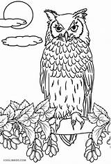 Coloring Pages Owl Owls Printable Kids Cool2bkids sketch template