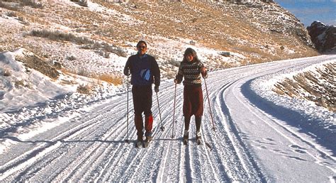 cross country skiing  running crucial comparisons   athletes