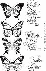 Coloring Butterflies Pages Set Stamps sketch template