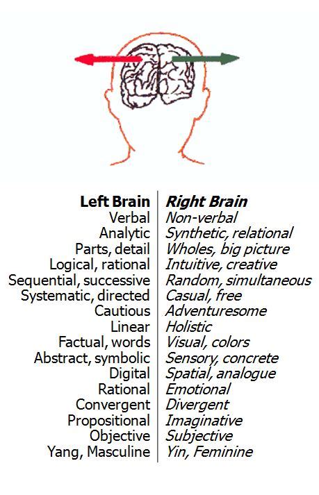 left   brain