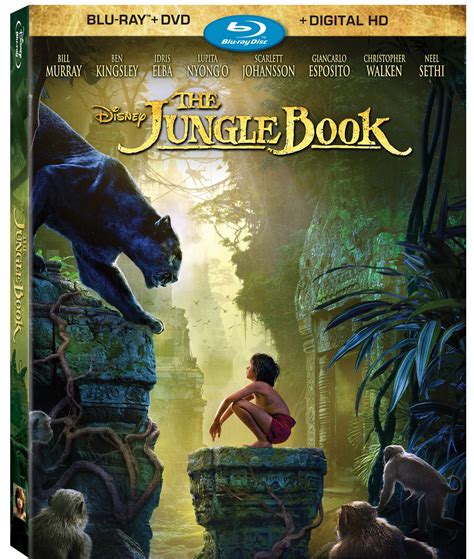 jungle book  animated film   action bluray review