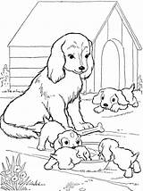 Coloringbay Moms Chihuahua sketch template