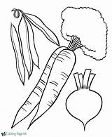 Vegetables Coloring Pages Printable Food Vegetable Fruits Kids Print Fruit Color Clipart Colouring Animal Sheets Templates Veggies Template Library Books sketch template