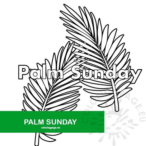 palm sunday palm branch template coloring page