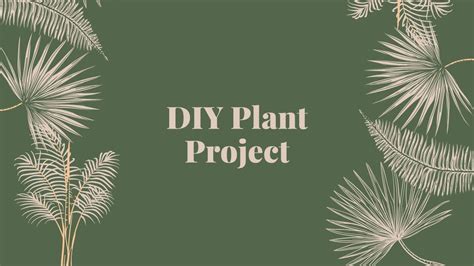 diy plant project youtube
