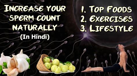 increase your sperm count foods lifestyle and exercises hindi youtube