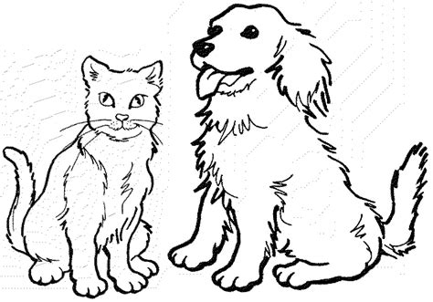 normal dog  cat coloring page  printable coloring pages  kids