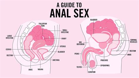 anal sex what you need to know teen vogue