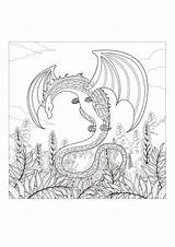 Draghi Adulti Libro Dragons sketch template