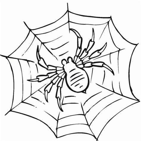 printable spider web coloring pages  kids spider coloring