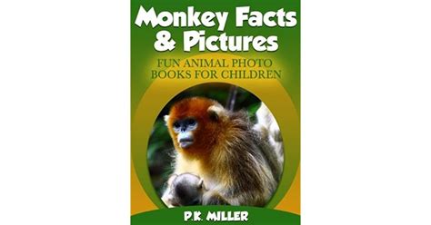 monkey facts pictures  pk miller