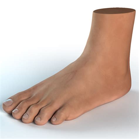 foot    stop foot  toenail fungus   tracks health