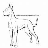 Dane Great Coloring Pages Dog Draw Lineart Comments Library Clipart Coloringhome sketch template