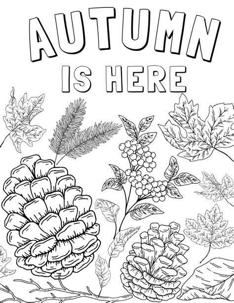 fall  autumn  coloring pages myworldtheirway
